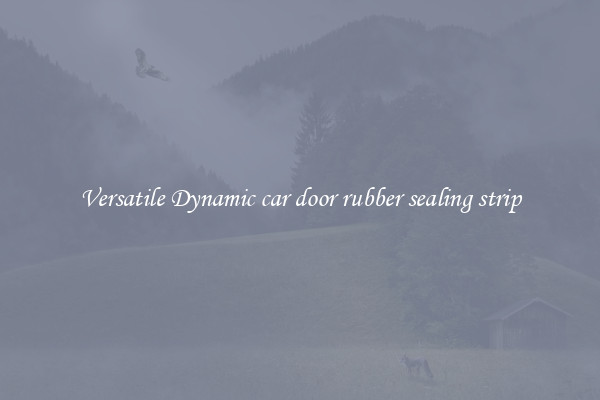 Versatile Dynamic car door rubber sealing strip