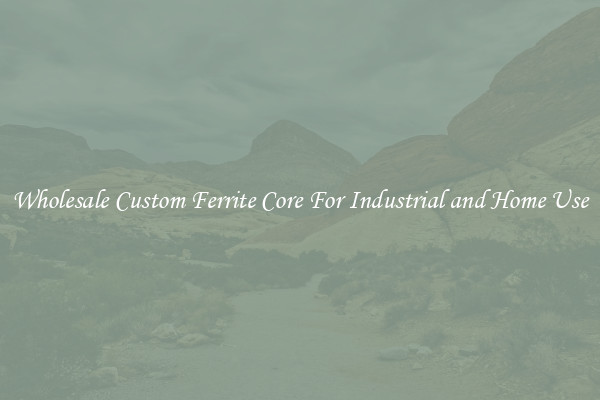 Wholesale Custom Ferrite Core For Industrial and Home Use