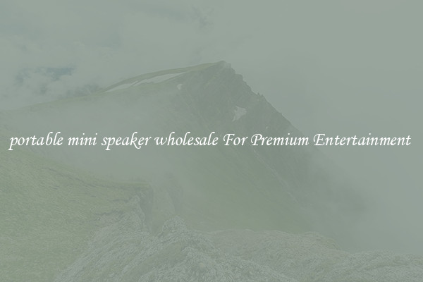 portable mini speaker wholesale For Premium Entertainment 