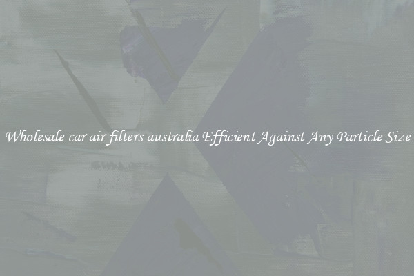 Wholesale car air filters australia Efficient Against Any Particle Size