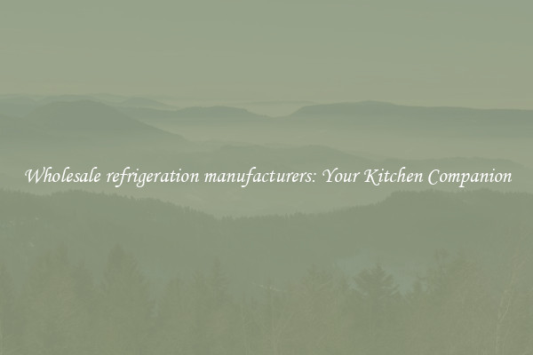 Wholesale refrigeration manufacturers: Your Kitchen Companion