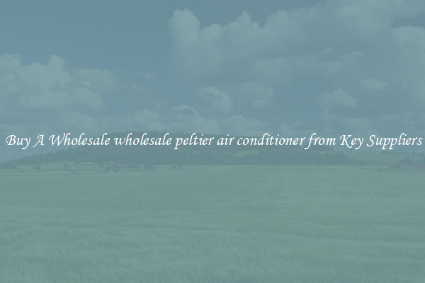 Buy A Wholesale wholesale peltier air conditioner from Key Suppliers