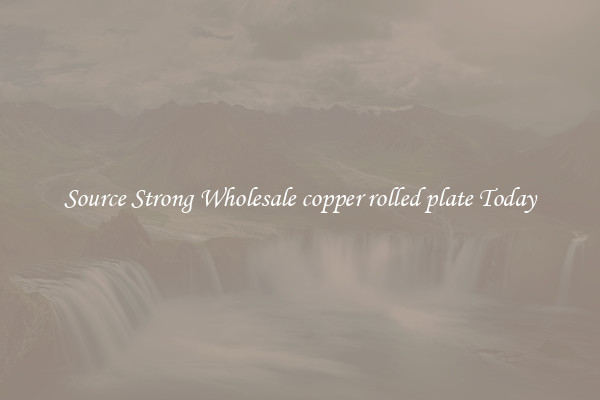 Source Strong Wholesale copper rolled plate Today