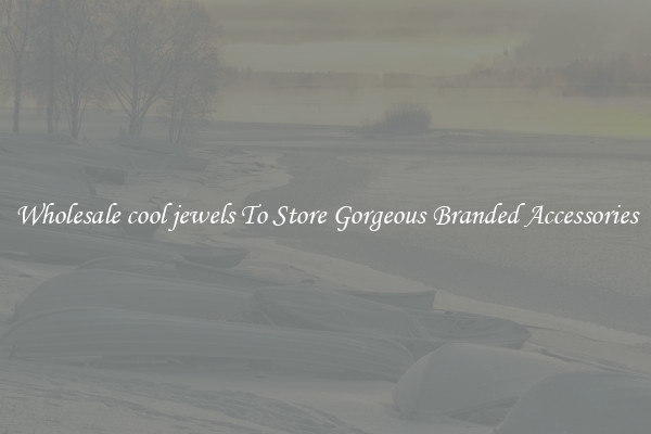 Wholesale cool jewels To Store Gorgeous Branded Accessories