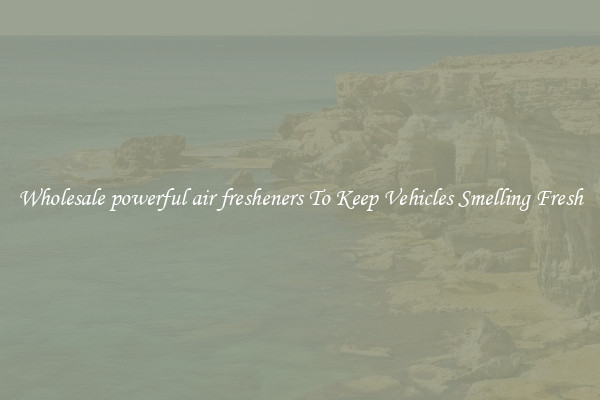 Wholesale powerful air fresheners To Keep Vehicles Smelling Fresh