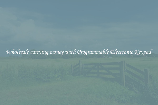 Wholesale carrying money with Programmable Electronic Keypad 