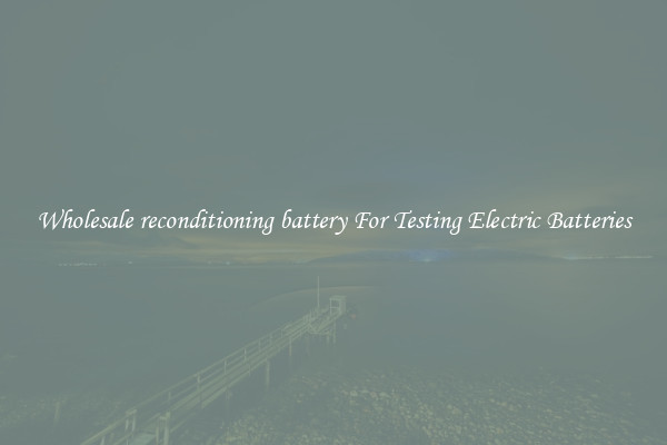 Wholesale reconditioning battery For Testing Electric Batteries