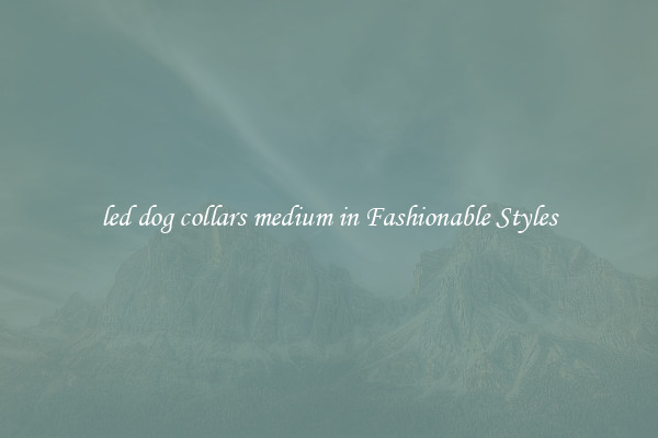 led dog collars medium in Fashionable Styles