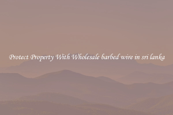 Protect Property With Wholesale barbed wire in sri lanka