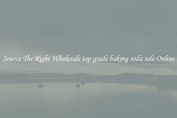 Source The Right Wholesale top grade baking soda sale Online