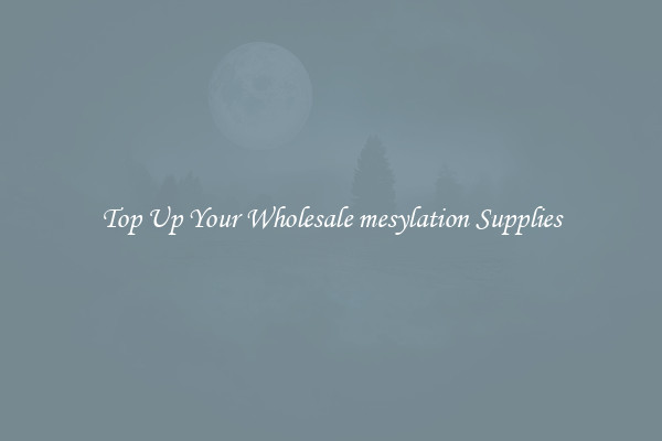 Top Up Your Wholesale mesylation Supplies