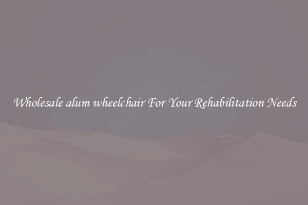 Wholesale alum wheelchair For Your Rehabilitation Needs