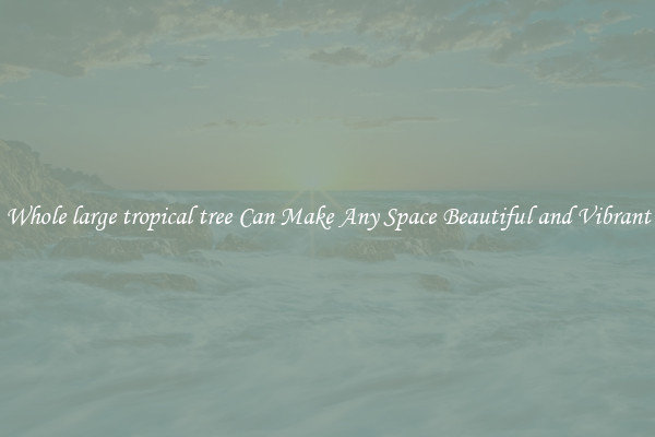 Whole large tropical tree Can Make Any Space Beautiful and Vibrant