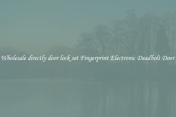Wholesale directly door lock set Fingerprint Electronic Deadbolt Door 